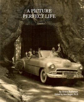 A PICTURE PERFECT LIFE book cover