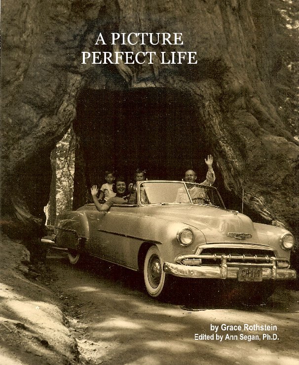 Ver A PICTURE PERFECT LIFE por Grace Rothstein Edited by Ann Segan, Ph.D.