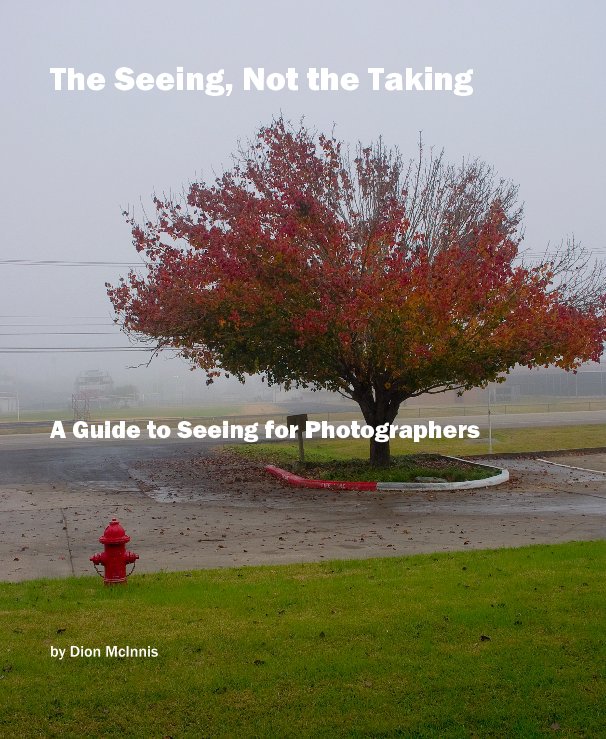 View The Seeing, Not the Taking by Dion McInnis