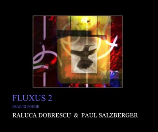 FLUXUS 2 book cover