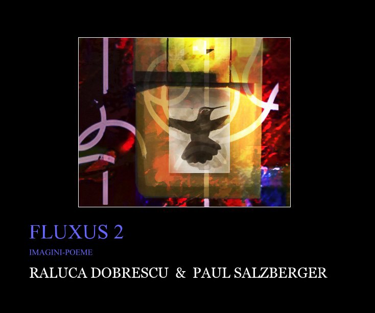 Ver FLUXUS 2 por RALUCA DOBRESCU & PAUL SALZBERGER