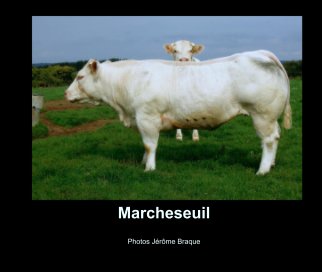 Marcheseuil book cover