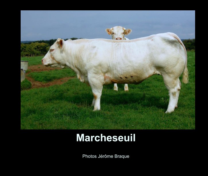 Ver Marcheseuil por Photos Braque