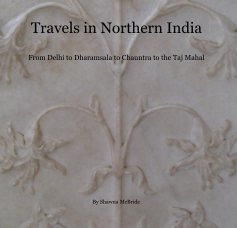 Travels in Northern India From Delhi to Dharamsala to Chauntra to the Taj Mahal book cover