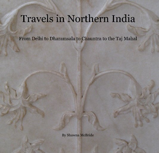 Visualizza Travels in Northern India From Delhi to Dharamsala to Chauntra to the Taj Mahal di Shawna McBride