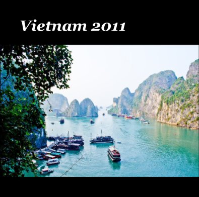 Vietnam 2011 book cover
