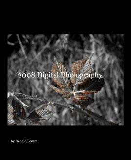2008 Digital Photography book cover