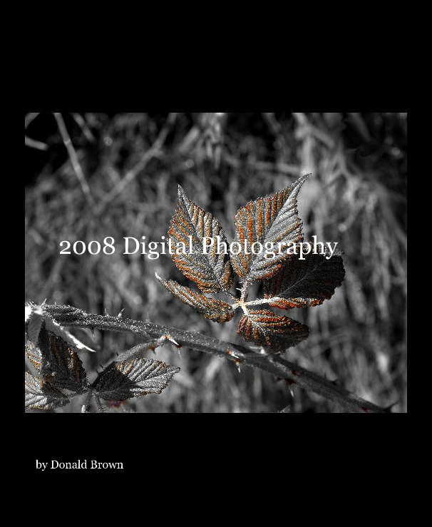 Visualizza 2008 Digital Photography di Donald Brown