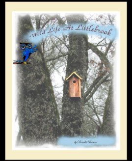 Wild Life at Littlebrook book cover