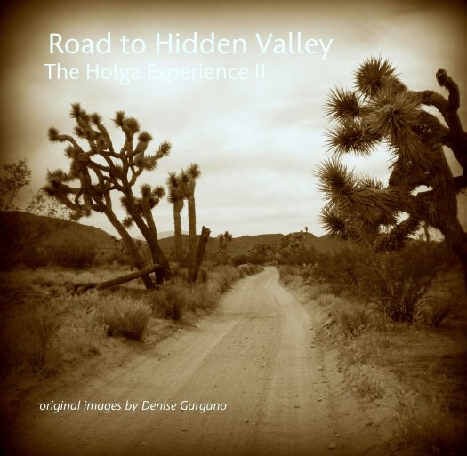 View Road to Hidden Valley
  The Holga Experience II by Denise Gargano