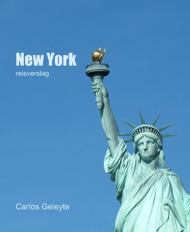 View New York by Carlos Geleyte