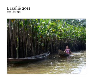 Brazilië 2011 door Hans Spil book cover