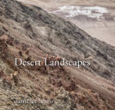 Desert Landscapes 7x7 book cover