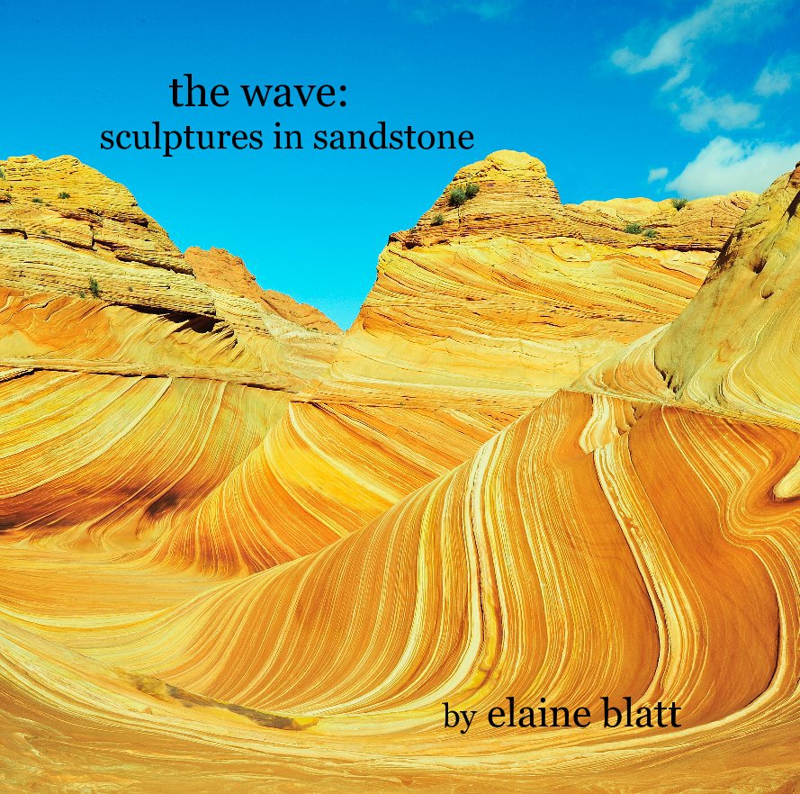 Visualizza the wave: sculptures in sandstone di elaine blatt