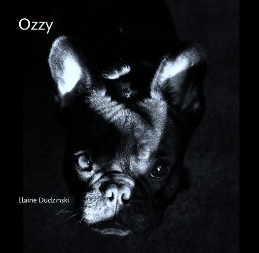 View Ozzy by Elaine Dudzinski