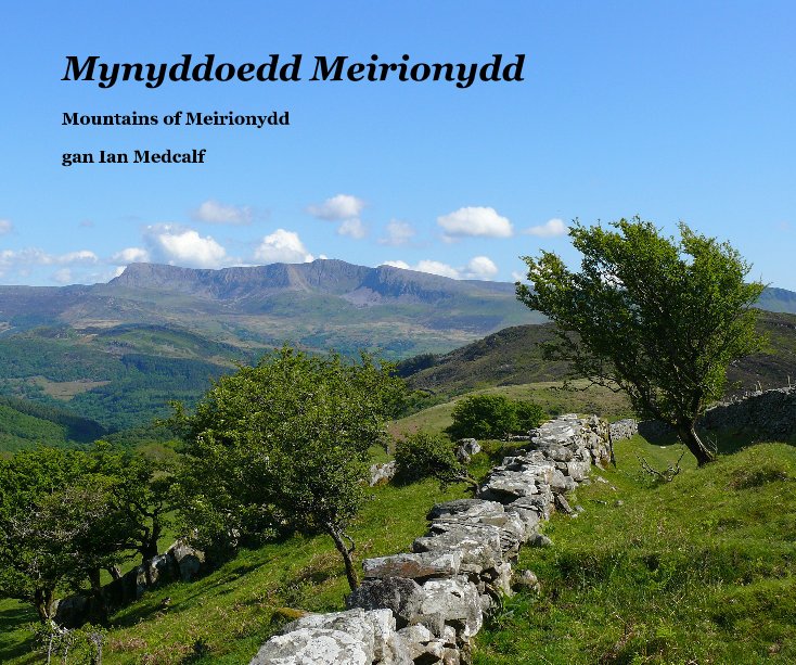View Mynyddoedd Meirionydd by gan Ian Medcalf