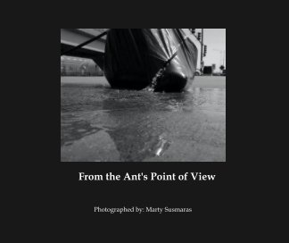 From the Ant's Point of View book cover