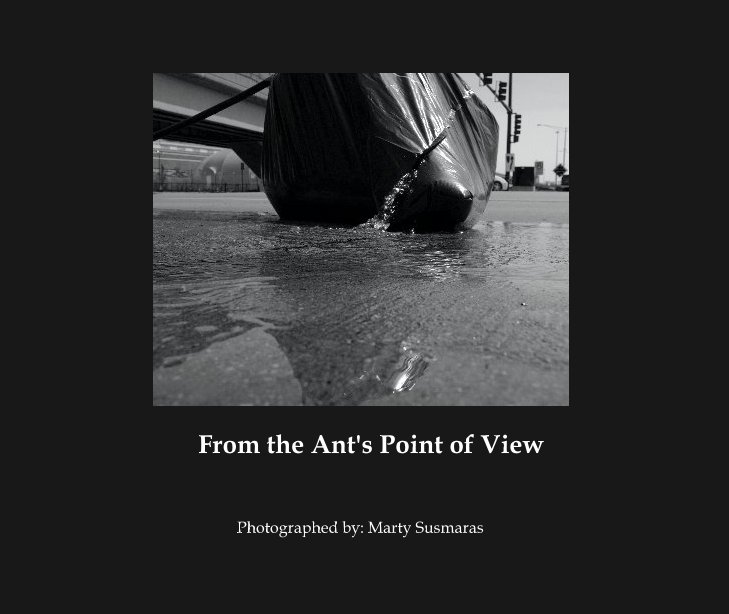 Ver From the Ant's Point of View por Photographed by: Marty Susmaras