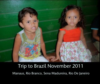 Trip to Brazil November 2011 book cover