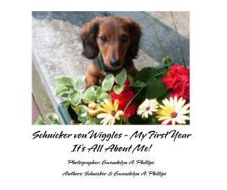Schnicker von Wiggles - My First Year It's All About Me! book cover