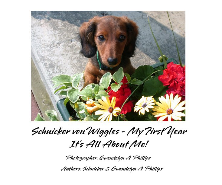 View Schnicker von Wiggles - My First Year It's All About Me! by Authors: Schnicker & Gwendolyn A. Phillips