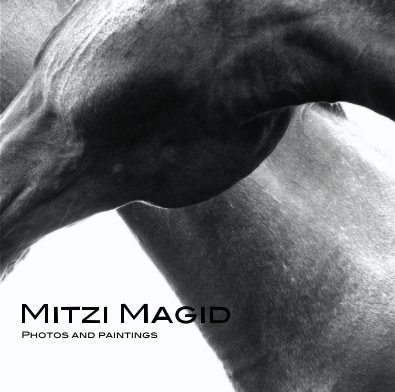 Mitzi Magid Photos and paintings book cover