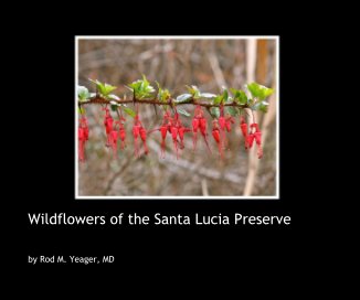 Wildflowers of the Santa Lucia Preserve book cover