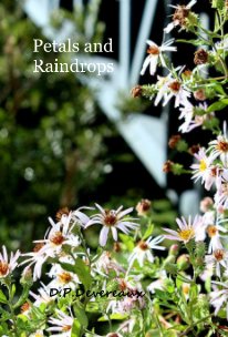 Petals and Raindrops book cover