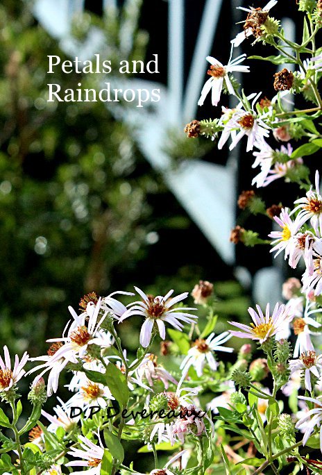 View Petals and Raindrops by D.P.Devereaux