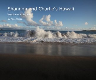 Shannon and Charlie's Hawaii book cover