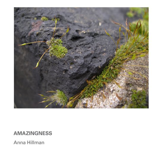 Ver Amazingness: Anna Hillman (first edition) por louiseforres