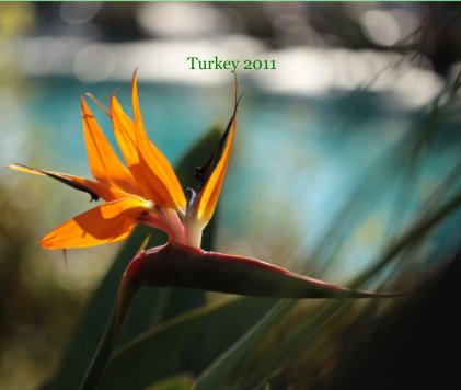Turkey 2011 book cover