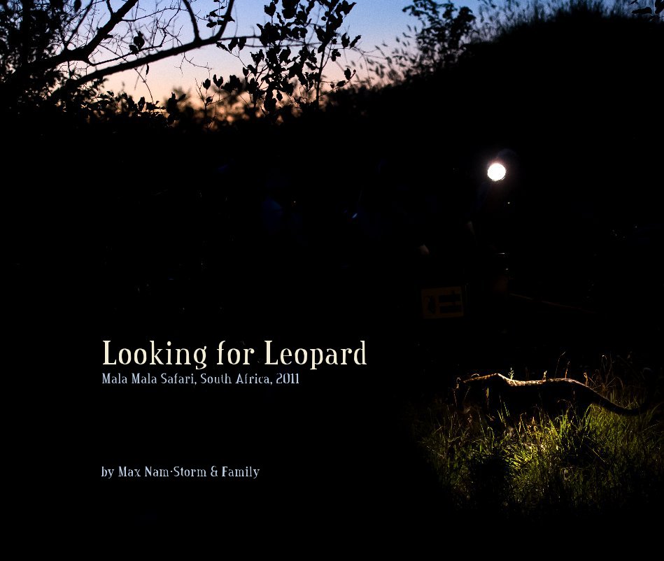 Visualizza Looking for Leopard di Max Nam-Storm