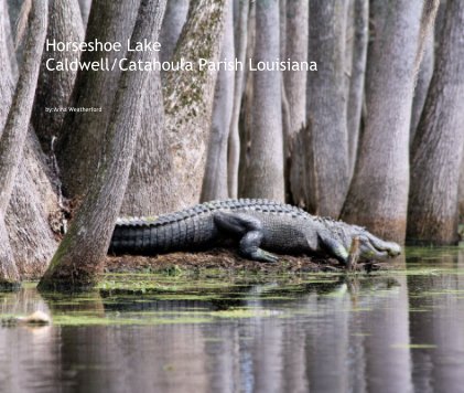 Horseshoe Lake Caldwell/Catahoula Parish Louisiana book cover