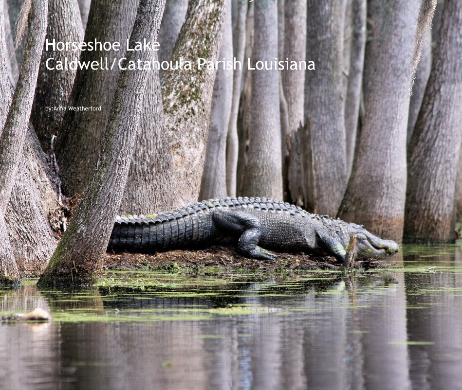 Visualizza Horseshoe Lake Caldwell/Catahoula Parish Louisiana di by:Anna Weatherford