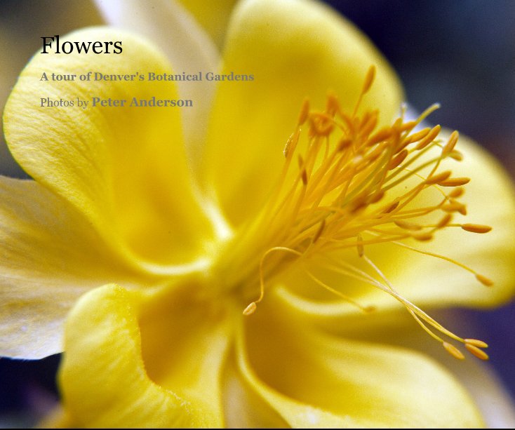 View Flowers by Photos by Peter Anderson