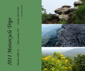 2011 Motorcycle Trips book cover