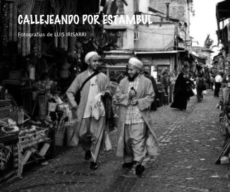 CALLEJEANDO POR ESTAMBUL book cover
