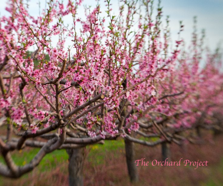 View The Orchard Project by Dorothy Littell Greco