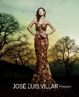 JOSÉ LUIS VILLAR book cover
