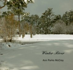 Winter River book cover