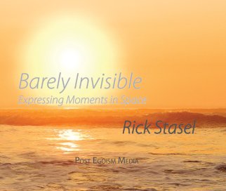 Barely Invisible book cover