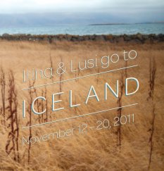 Irina and Lusi go to Iceland book cover