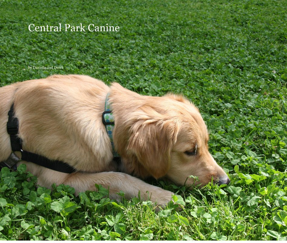 Ver Central Park Canine por Danielle and Derek