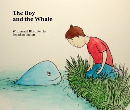 The Boy and the Whale book cover