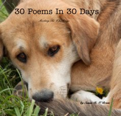 30 Poems In 30 Days book cover