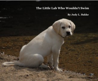 The Little Lab Who Wouldn't Swim book cover