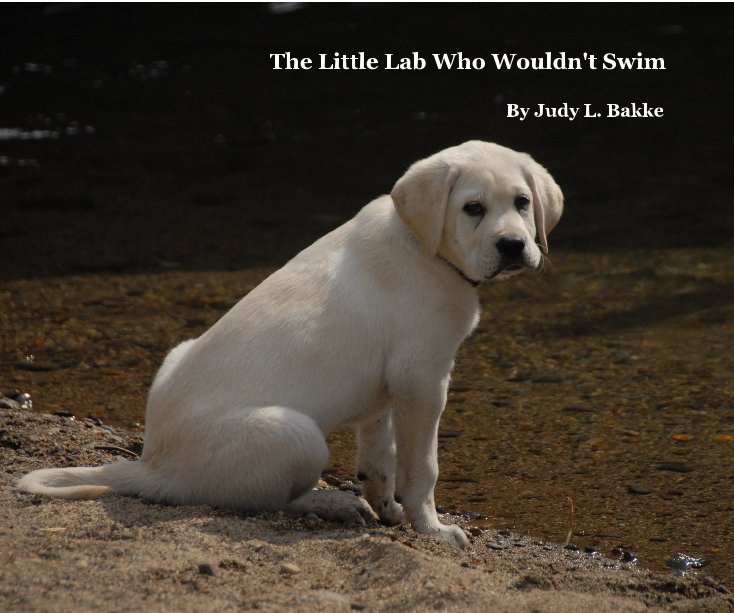 View The Little Lab Who Wouldn't Swim by Judy L Bakke