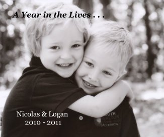 A Year in the Lives . . . book cover