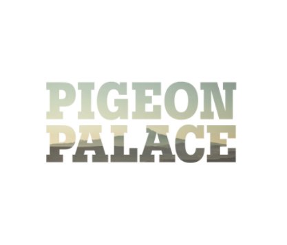 Pigeon Palace book cover